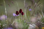 �ber den Dingen